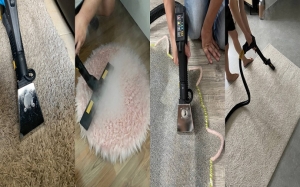  Professional and Residential Carpet Cleaning